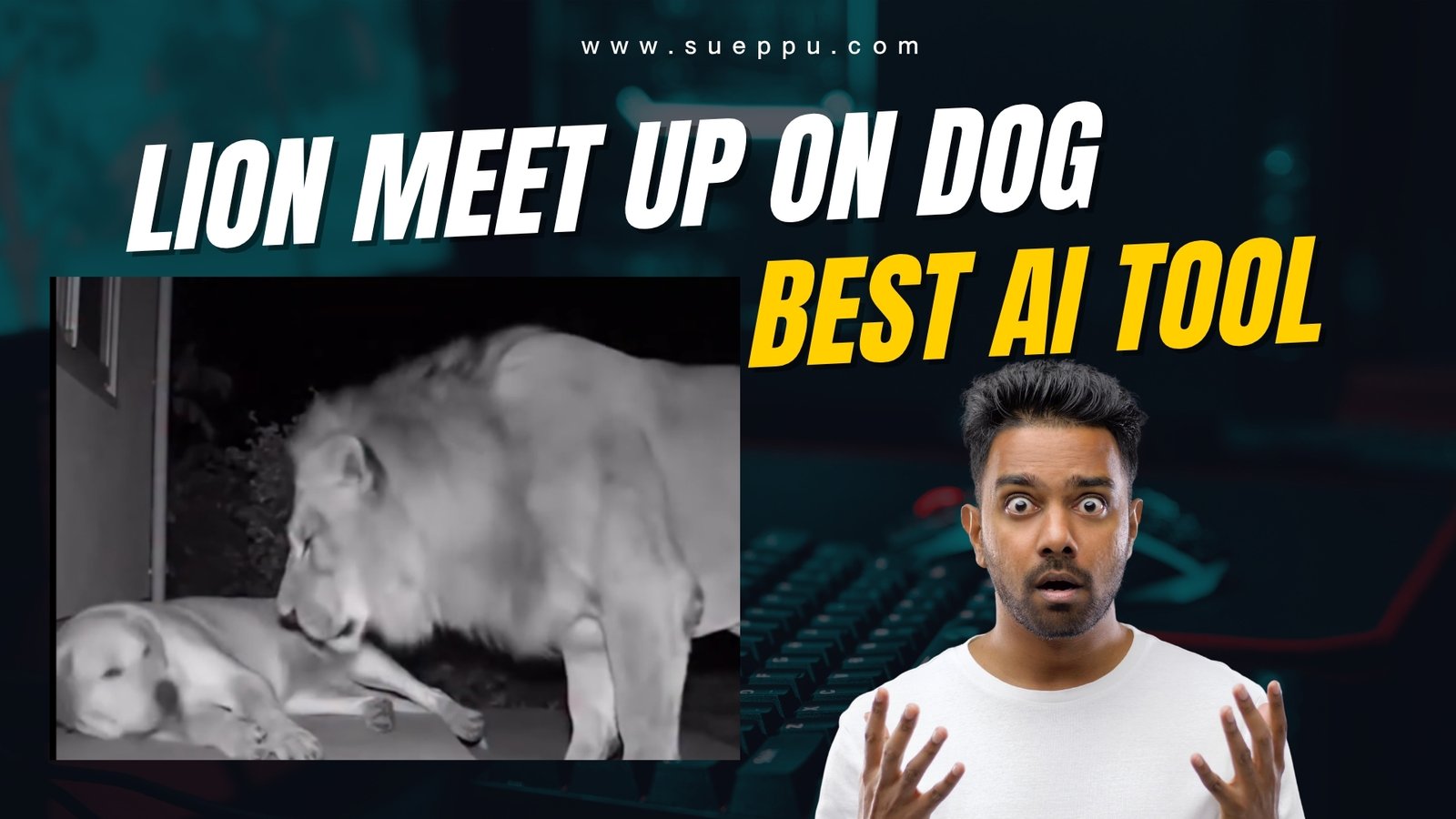Best Lion & Dog Meetup Useful Prompt Link By 369
